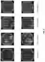Fig. 10 - CHIMERIC TIM-3 FUSION PROTEIN