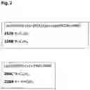 Fig. 03 - METHODS AND COMPOSITIONS FOR TREATING CANCER USING PEPTIDE NUCLEIC ACID-BASED AGENTS