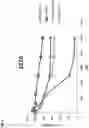 Fig. 06 - METHODS AND COMPOSITIONS FOR TREATING CANCER USING PEPTIDE NUCLEIC ACID-BASED AGENTS