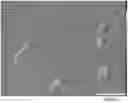 Fig. 01 - METHOD FOR INDUCING MUSCULAR CELLS USING CELLS IN SPOT URINE