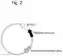 Fig. 03 - METHOD FOR INDUCING MUSCULAR CELLS USING CELLS IN SPOT URINE