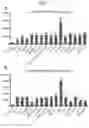 Fig. 04 - METHOD FOR INDUCING MUSCULAR CELLS USING CELLS IN SPOT URINE