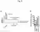 Fig. 07 - METHOD FOR INDUCING MUSCULAR CELLS USING CELLS IN SPOT URINE