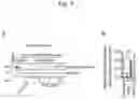 Fig. 08 - METHOD FOR INDUCING MUSCULAR CELLS USING CELLS IN SPOT URINE