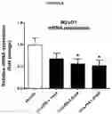 Fig. 06 - NEW MYOKINES AND USES THEREOF