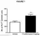 Fig. 09 - NEW MYOKINES AND USES THEREOF