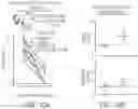 Fig. 11 - CSF1R-BASED CHIMERIC PROTEINS