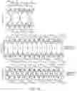 Fig. 19 - CSF1R-BASED CHIMERIC PROTEINS