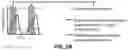 Fig. 03 - PERSONALIZED AND TIMED RELEASE OF BIOMOLECULES