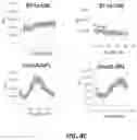 Fig. 07 - PERSONALIZED AND TIMED RELEASE OF BIOMOLECULES