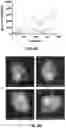 Fig. 17 - PERSONALIZED AND TIMED RELEASE OF BIOMOLECULES