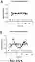 Fig. 27 - PERSONALIZED AND TIMED RELEASE OF BIOMOLECULES