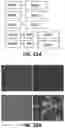 Fig. 33 - PERSONALIZED AND TIMED RELEASE OF BIOMOLECULES