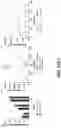 Fig. 37 - PERSONALIZED AND TIMED RELEASE OF BIOMOLECULES