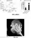 Fig. 41 - PERSONALIZED AND TIMED RELEASE OF BIOMOLECULES
