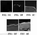 Fig. 04 - METHODS AND COMPOSITIONS FOR PROTEIN DELIVERY