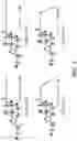 Fig. 06 - METHODS AND COMPOSITIONS FOR PROTEIN DELIVERY