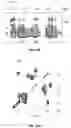 Fig. 21 - STABILIZATION OF PRANDIAL OR BASAL INSULIN ANALOGUES BY AN INTERNAL DISELENIDE BRIDGE