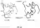 Fig. 22 - STABILIZATION OF PRANDIAL OR BASAL INSULIN ANALOGUES BY AN INTERNAL DISELENIDE BRIDGE