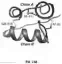 Fig. 27 - STABILIZATION OF PRANDIAL OR BASAL INSULIN ANALOGUES BY AN INTERNAL DISELENIDE BRIDGE