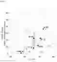 Fig. 19 - STABILIZED EXTRACELLULAR DOMAIN OF CD19