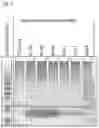 Fig. 20 - STABILIZED EXTRACELLULAR DOMAIN OF CD19