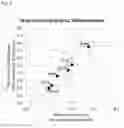 Fig. 23 - STABILIZED EXTRACELLULAR DOMAIN OF CD19