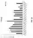 Fig. 15 - MUTANT FACTOR VIII COMPOSITIONS AND METHODS