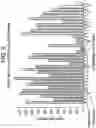Fig. 09 - ENGINEERING MONOCLONAL ANTIBODIES TO IMPROVE STABILITY AND PRODUCTION TITER