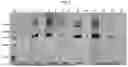 Fig. 04 - DENGUE VIRUS NON-STRUCTURAL PROTEIN 1 SPECIFIC BINDING POLYPEPTIDES AND METHODS OF USING THE SAME