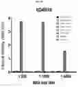 Fig. 06 - DENGUE VIRUS NON-STRUCTURAL PROTEIN 1 SPECIFIC BINDING POLYPEPTIDES AND METHODS OF USING THE SAME