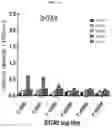 Fig. 09 - DENGUE VIRUS NON-STRUCTURAL PROTEIN 1 SPECIFIC BINDING POLYPEPTIDES AND METHODS OF USING THE SAME