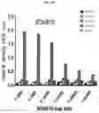 Fig. 10 - DENGUE VIRUS NON-STRUCTURAL PROTEIN 1 SPECIFIC BINDING POLYPEPTIDES AND METHODS OF USING THE SAME