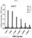 Fig. 11 - DENGUE VIRUS NON-STRUCTURAL PROTEIN 1 SPECIFIC BINDING POLYPEPTIDES AND METHODS OF USING THE SAME