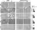 Fig. 01 - IDENTIFICATION AND TARGETING OF PATHOGENIC EXTRACELLULAR MATRIX FOR DIAGNOSIS AND TREATMENT OF CANCER AND OTHER DISEASES