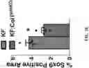 Fig. 13 - IDENTIFICATION AND TARGETING OF PATHOGENIC EXTRACELLULAR MATRIX FOR DIAGNOSIS AND TREATMENT OF CANCER AND OTHER DISEASES