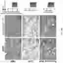 Fig. 64 - IDENTIFICATION AND TARGETING OF PATHOGENIC EXTRACELLULAR MATRIX FOR DIAGNOSIS AND TREATMENT OF CANCER AND OTHER DISEASES
