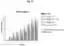 Fig. 17 - Nucleic acid molecule encoding, and method of producing, a recombinant anti-tumor necrosis factor (TNF) antibody