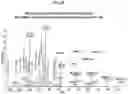 Fig. 25 - Nucleic acid molecule encoding, and method of producing, a recombinant anti-tumor necrosis factor (TNF) antibody