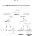 Fig. 26 - Nucleic acid molecule encoding, and method of producing, a recombinant anti-tumor necrosis factor (TNF) antibody