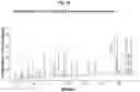 Fig. 27 - Nucleic acid molecule encoding, and method of producing, a recombinant anti-tumor necrosis factor (TNF) antibody