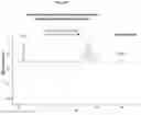 Fig. 29 - Nucleic acid molecule encoding, and method of producing, a recombinant anti-tumor necrosis factor (TNF) antibody