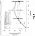 Fig. 07 - CCL20 AS A PREDICTOR OF CLINICAL RESPONSE TO IL23-ANTAGONISTS