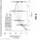 Fig. 09 - CCL20 AS A PREDICTOR OF CLINICAL RESPONSE TO IL23-ANTAGONISTS