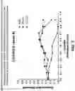 Fig. 10 - CCL20 AS A PREDICTOR OF CLINICAL RESPONSE TO IL23-ANTAGONISTS