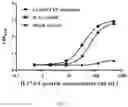 Fig. 04 - Humanized anti-IL17A antibody and application thereof