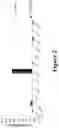 Fig. 03 - PHARMACEUTICAL COMPOSITION CONTAINING ANTIBODY AGAINST IL-5 AND USE THEREOF