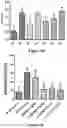 Fig. 05 - PHARMACEUTICAL COMPOSITION CONTAINING ANTIBODY AGAINST IL-5 AND USE THEREOF