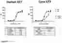 Fig. 10 - ILT7 binding molecules and methods of using the same