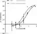 Fig. 01 - ANTI-CD47 ANTIBODIES AND USES THEREOF